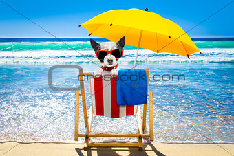 dog relaxing on a beach chair 