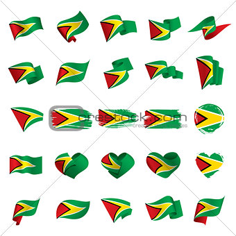 Guyana flag, vector illustration