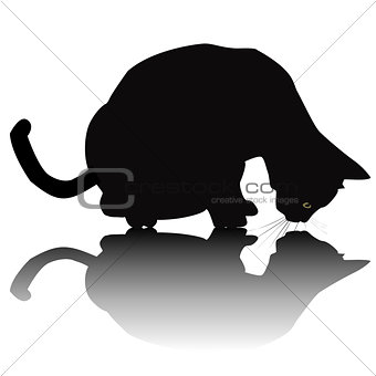 Black cat silhouette with shadow