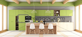 Green and gray modern kitchen