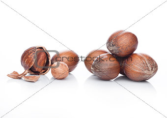 Raw hazelnuts with shell on white background
