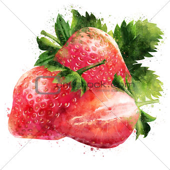 Strawberry on white background. Watercolor illustration