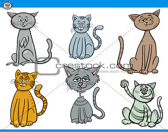 funny cartoon cats characters set