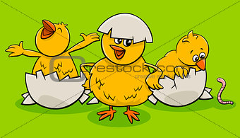 cartoon little chicks hatching from eggs