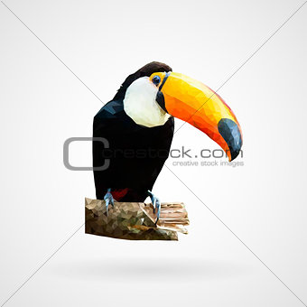 Colorful polygonal toucan bird