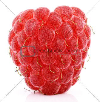 Single raspberry fruit isolated on white