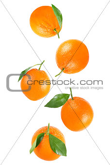 Falling whole orange with leaf isolated on white
