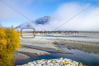 Yellow forest and river in New Zealand mountains