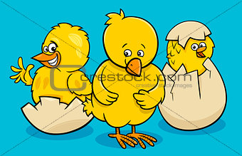 cartoon little chickens hatching from eggs