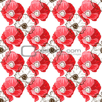 Seamless pattern with poppies flower on white background. Vector set of blooming floral for wedding invitations and greeting card design.