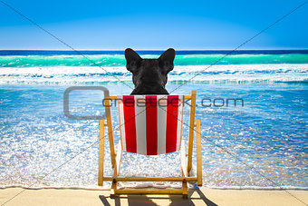 dog relaxing on a beach chair 