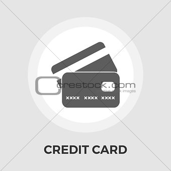 Credit Card Vector Flat Icon