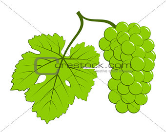 grape with leaf