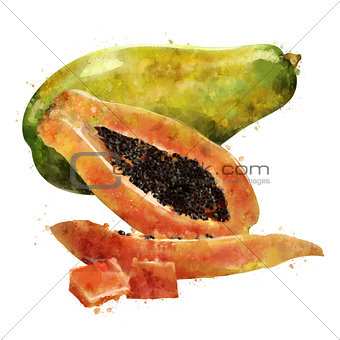 Papaya on white background. Watercolor illustration