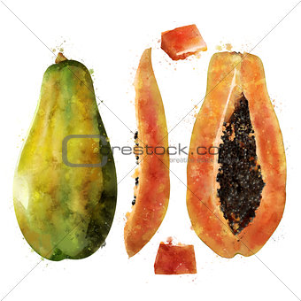 Papaya on white background. Watercolor illustration