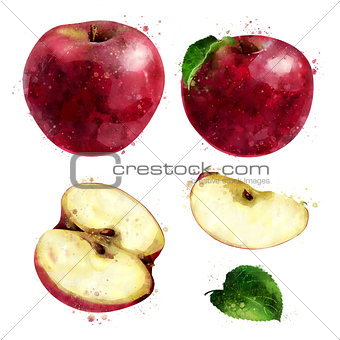 Red Apple on white background. Watercolor illustration