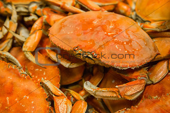 Boiled crabs background