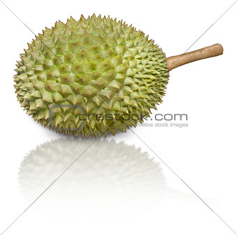 Durian, pronouns as King of Fruits, isolated on white background