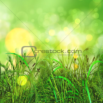 3D green grass and wheat on a bokeh lights background