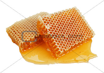 fresh honey in comb 