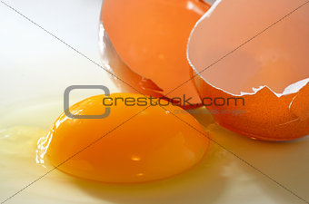 Broken fresh egg isolated on table