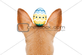 happy easter dog with egg