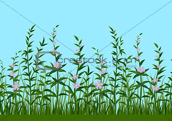 Grass and Flowers, Seamless