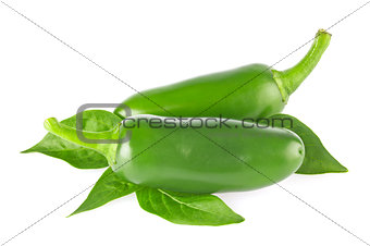 Pair of fresh organic jalapeno chili pepper with green leaves.