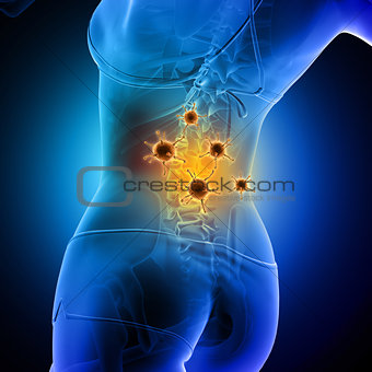 3D medical background of a female figure with spine highlighted 