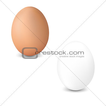 2 Fresh Egg Isolated White Background