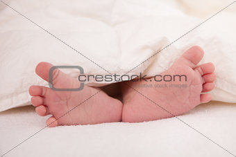 Baby feet under white blanket cover