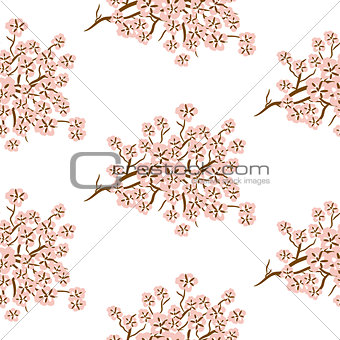 Cherry blossom seamless vector pattern.