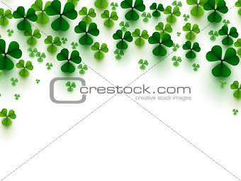 Green clover leaves on white background. Fall of shamrock symbol of Patrick's Day