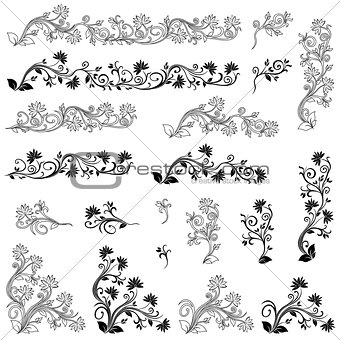 Set of swirl floral design elements