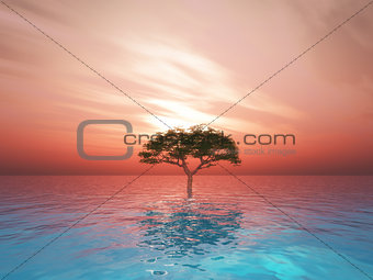 3D landscape with tree in ocean against a sunset sky