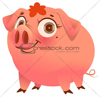 Pretty pink pig isolated on white cartoon illustration