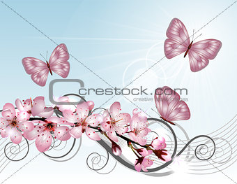 Blossoming sakura cherry branch with pink flowers