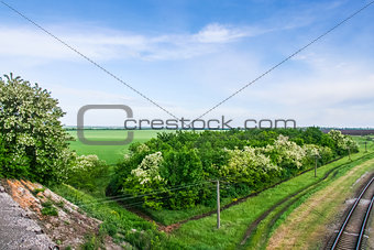 The railroad to Berdyansk in the town of PologÑ