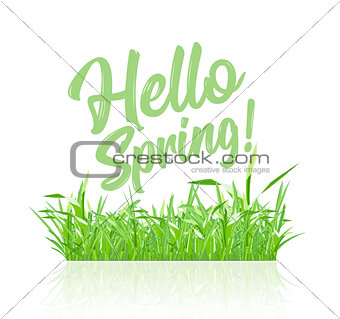 Text message hello spring, on a background of spring grass on a white background