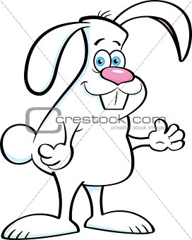 Cartoon Rabbit Smiling