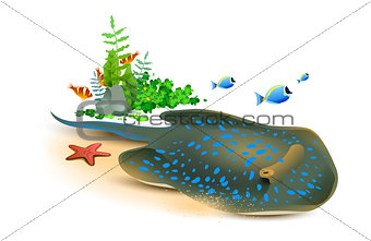 Electric stingray, starfish and fish underwater world