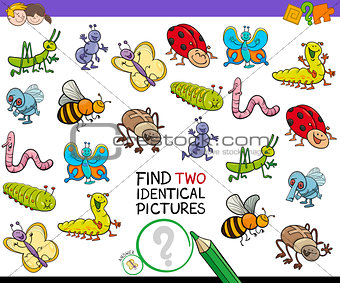 find two identical bug pictures game for kids