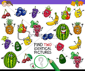 find two identical fruits game for kids