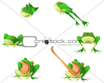 Frog Cartoon Design Element Set