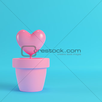 Pink heart in the pots on red box on bright blue background. Min