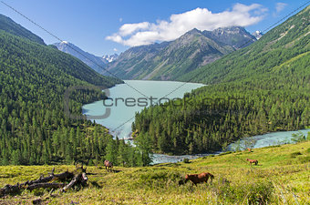 Kucherla lake. Altai Mountains, Russia. 