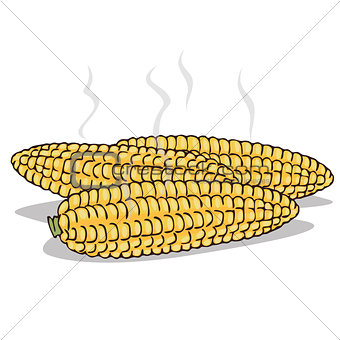 Isolate boiled corn ears with steam