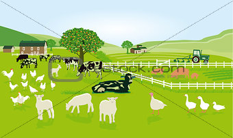 Farming with animals in the pasture