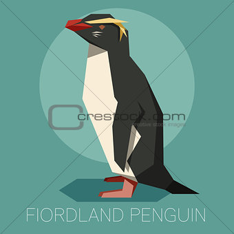 Flat Fiordland Penguin