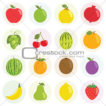 Fruits Vector Illustration Set